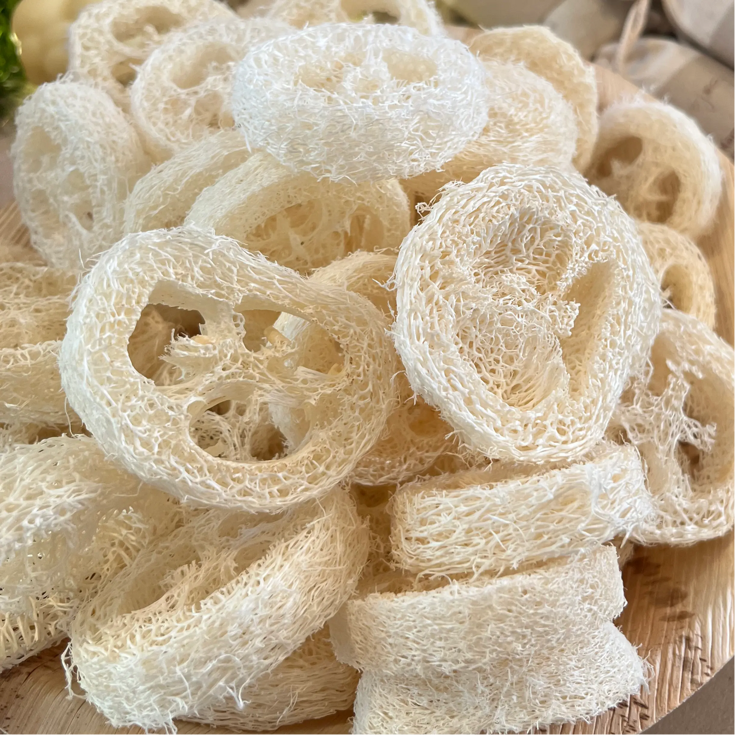 Loofah Svamp