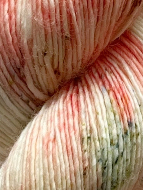 Single Merino, Coral Reef
