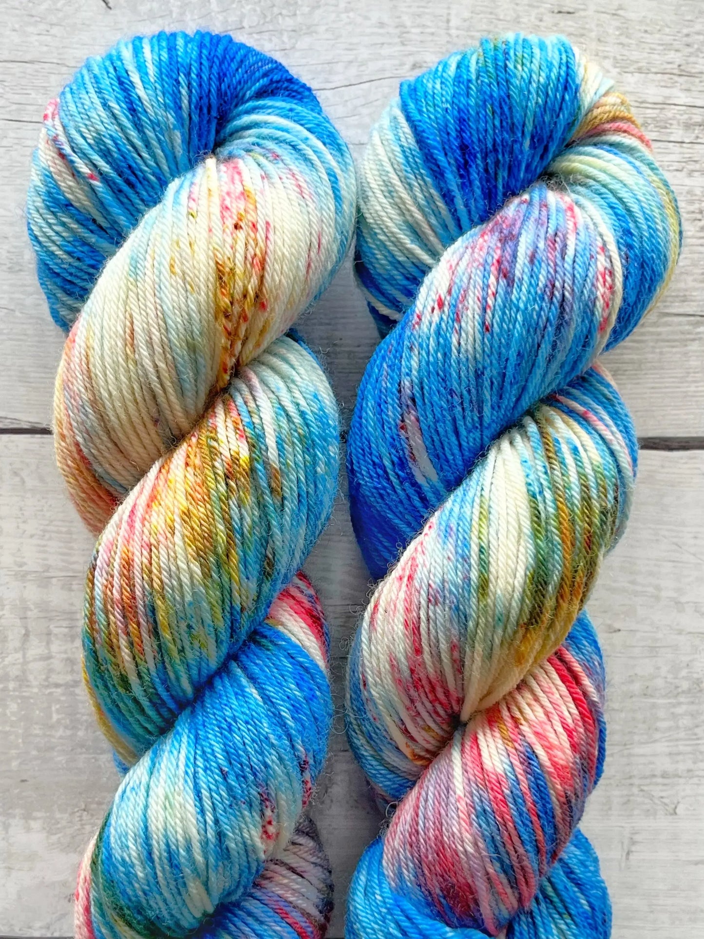 Bluefaced Leicester, Blue Splash