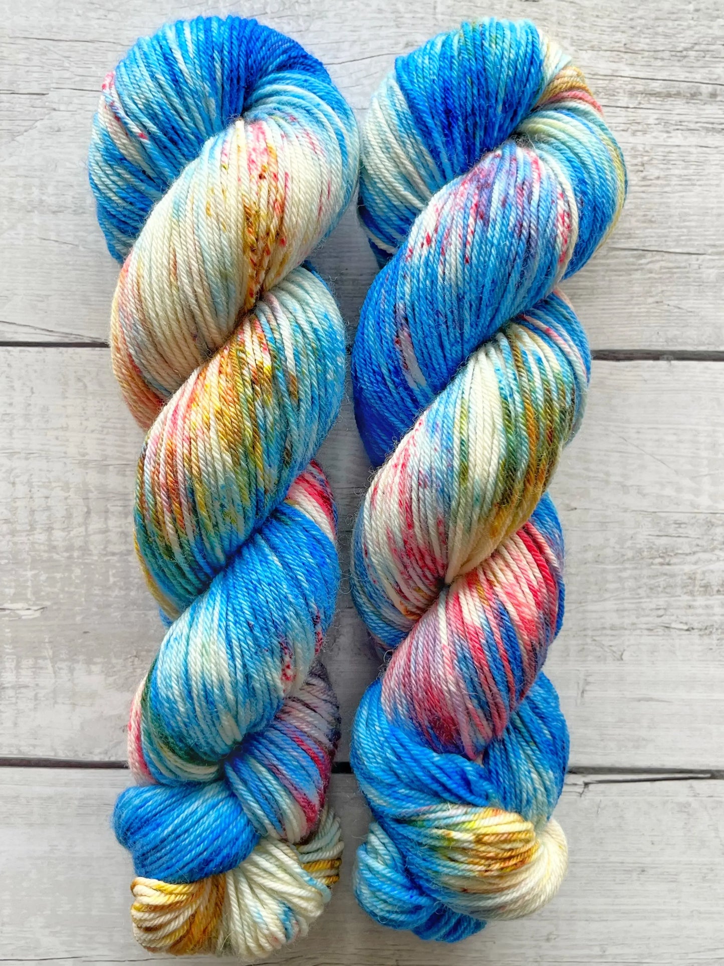 Bluefaced Leicester, Blue Splash